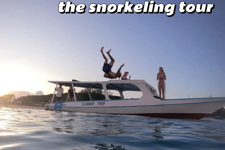 Lombok: Private Early Morning Gili Snorkeling Tour Departure from Gili Islands