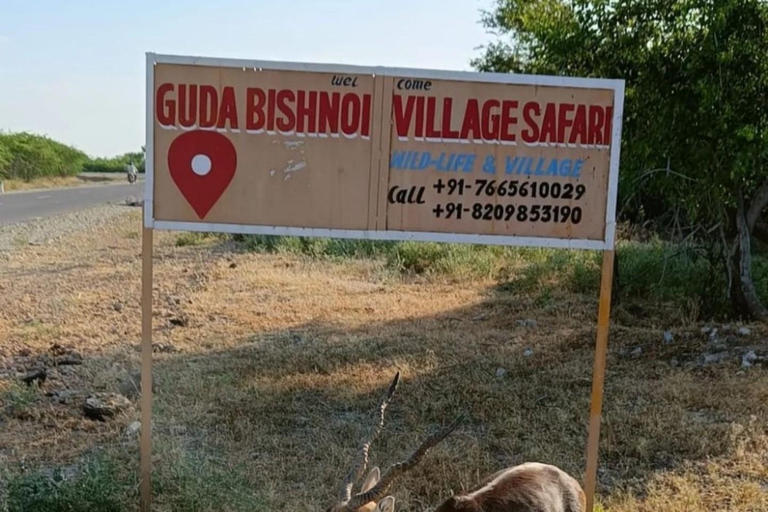 Guda Bishnoi Village Safari