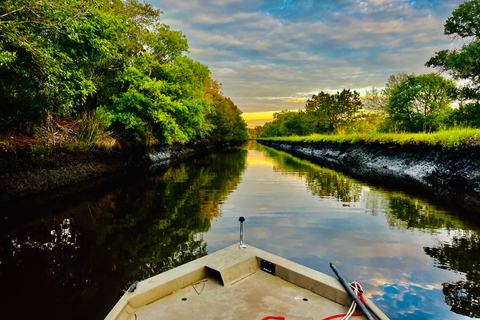 Charleston: Sunrise Marsh Ecotour Boat Charter