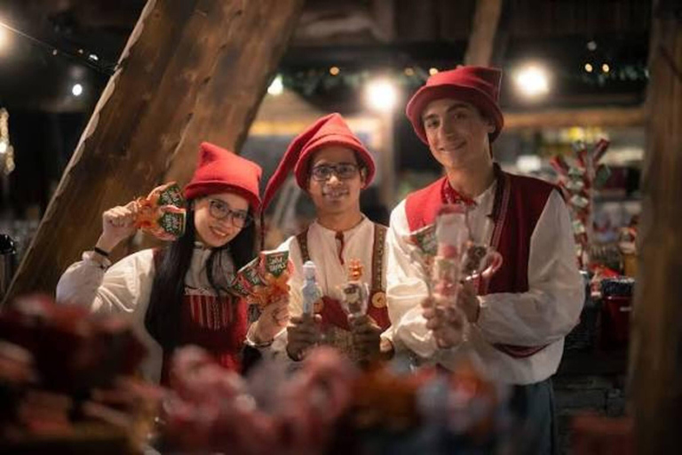 Rovaniemi: SantaPark All-Day Adventure with Lunch