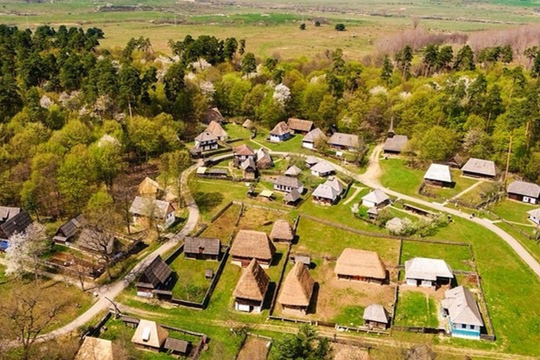 1 Day Bucharest Parliament, Ceausescu House & Village Museum Minivan Bucharest Parliament,Ceausescu House &Village Museum