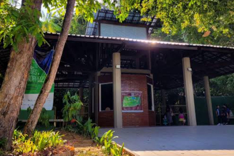 Private Tour in Manaus: Science Forest and Amazonas Theater