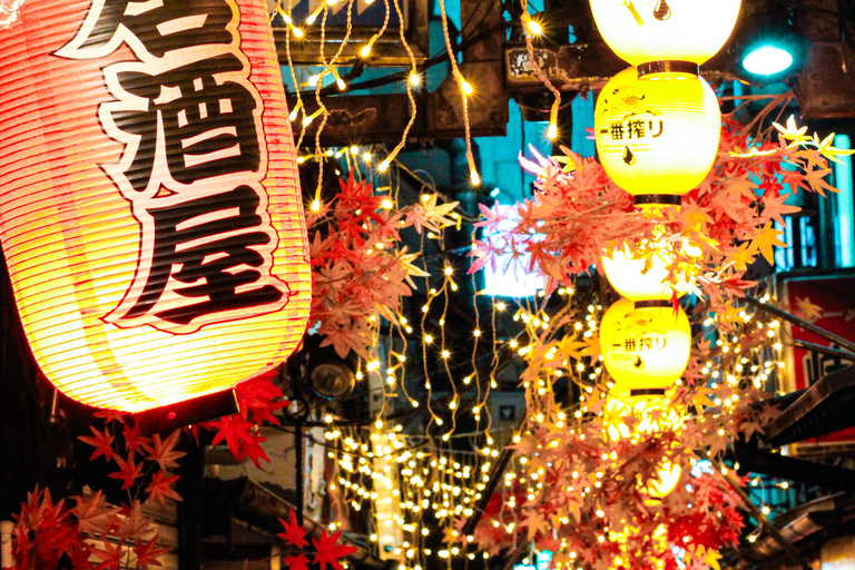 Tokio A: Tour de la ciudad en Español - Spanish Tokyo A: Private Tour