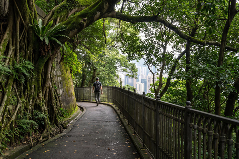 Hong Kong: Victoria Peak Guided Walking Tour Private Tour