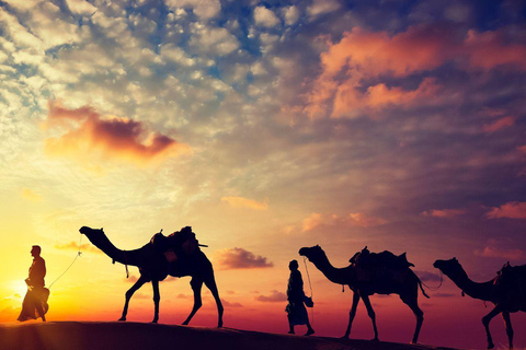 Jodhpur & Jaisalmer: Multi-Day Tour with Music Workshops