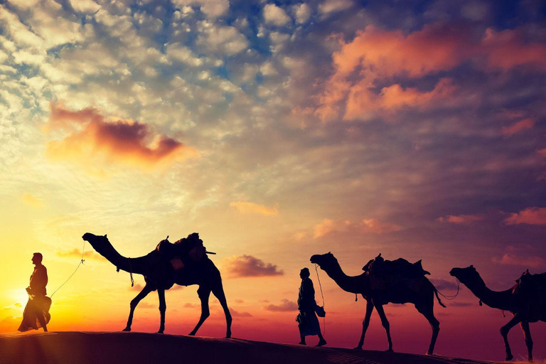 Jodhpur & Jaisalmer: Multi-Day Tour with Music Workshops