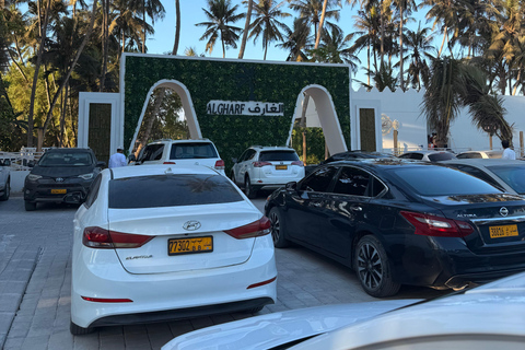 Salalah Highlights Tour: Heritage Sites, Markets &amp; Beach