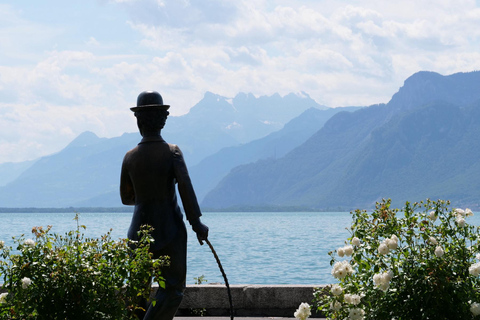 Private day trip: Lausanne to Vevey, Montreux & Aigle Castle