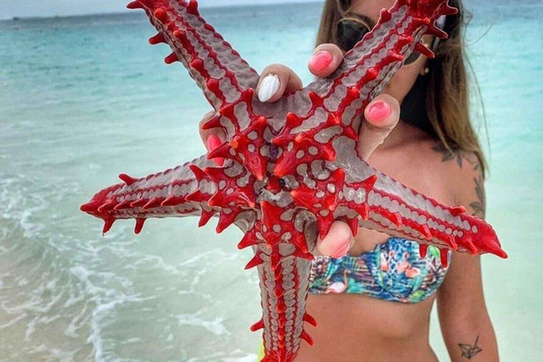 Zanzibar: Błękitna Laguna, rozgwiazdy, nurkowanie i rejsTransport z hotelu w dowolne miejsce na Zanzibarze ze wszystkimi biletami wstępu