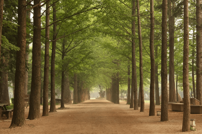 Nami Island Scenic Day Tour (Garden & Petite France)