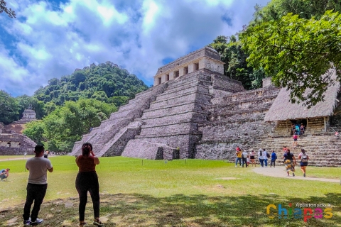 Tuxtla Gutierrez: Agua Azul, Misol Ha i Palenque Experience