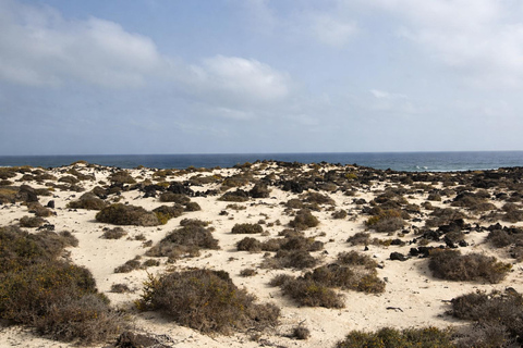 Lanzarote: VIP Island Grand Tour