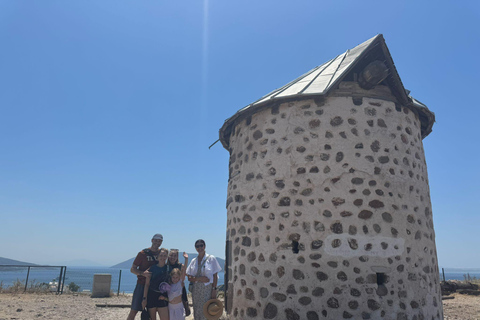 Bodrum: tour della città privato e guidato per crocieristi