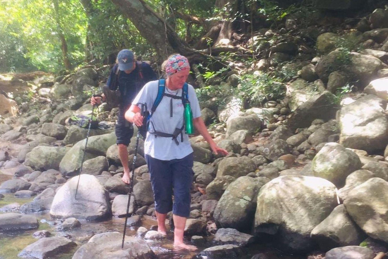 Sri Lanka: 4-tägige Tour Antike Ruinen, Wildtiere, Bergland