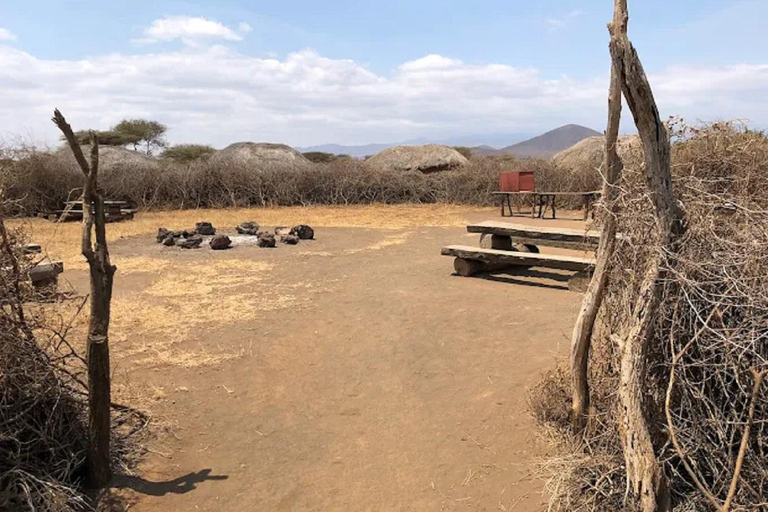 From Nairobi: National Park & Maasai Mara Safari Guided Tour