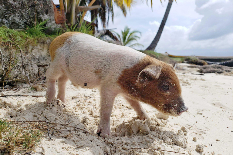 2 Days in Remote San Blas + Tour to magical Cambombia Island