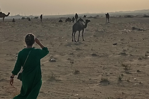 Gedda: Esperienza in quad nel deserto con trasferimento