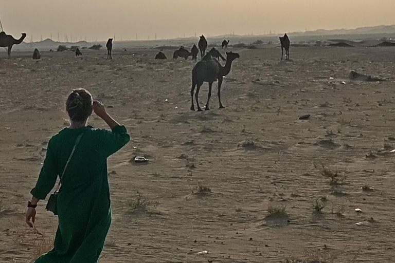 Jeddah: Experiencia en quad por el desierto con traslado