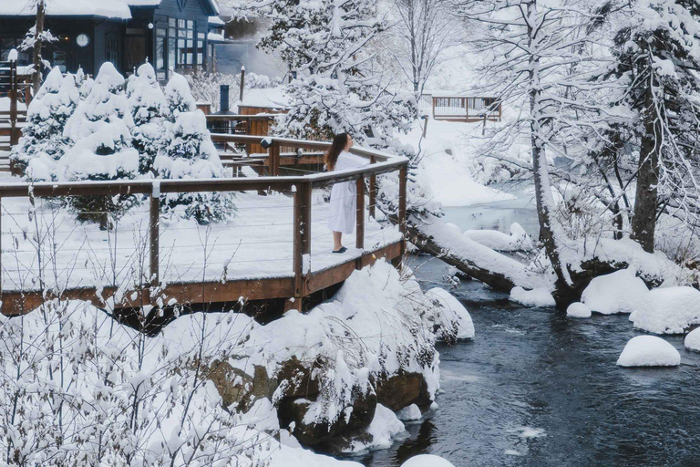 Saint-Sauveur: sessão de relaxamento em um spa termal nórdico