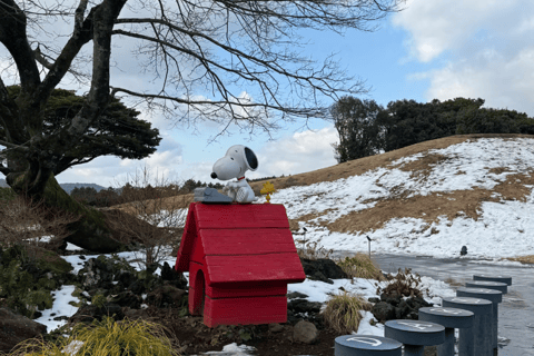 South Korea: Snoopy Park Skip-the-Line Tickets