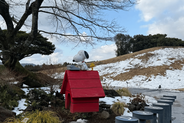 South Korea: Snoopy Park Skip-the-Line Tickets
