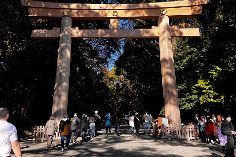 Tóquio: Santuário e Templo Tradicionais com Passeio pelas ConbiniTóquio: Santuário e templo tradicionais com passeio por lojas de conveniência