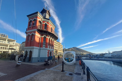 Cape Town: Robben Island Ferry with Prison Ticket and Tour