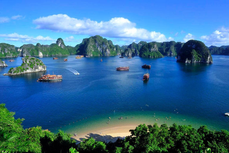 1 Day Ha Long & Ti Top Island on 3* Cruise Round Trip Transfer from Hanoi Included - Normal Bus