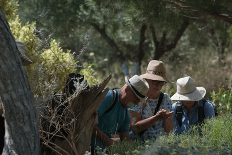 Kreta: Botanisches &amp; Bergabenteuer mit lokalem Essen