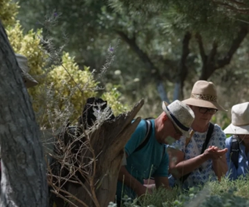 Crete: Botanical & Mountain Adventure with Local Food