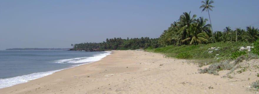Excursion d'une journée à Kannur : forts, plages et saveurs locales