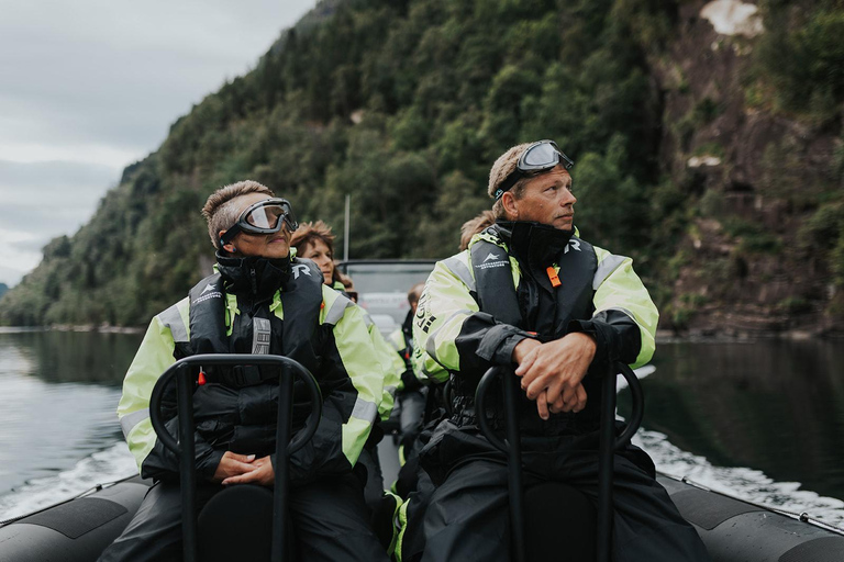 Øystese: Ekskluzywne safari po fiordzie Fyksesund prywatnym RIB-emØystese: Prywatne safari po fiordzie Fyksesund RIB