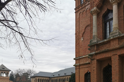 Depuis Bucarest : Excursion à la mine de sel et au palais de Mogosoaia