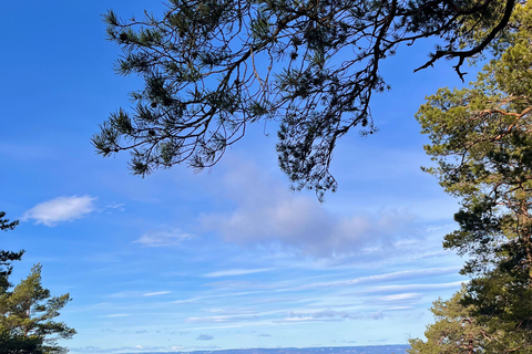 Oslo: Forest Hike with Panoramic Fjord Views and a dog