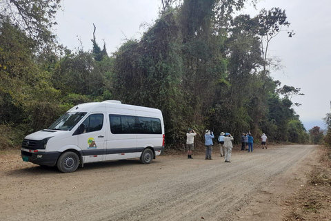 Quito: Private Transfer from/to Airport