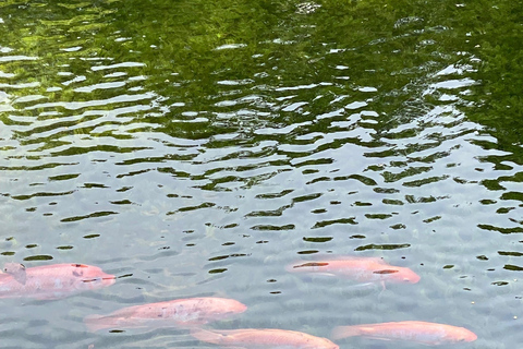 Cartagena: Guided Experience in the Botanical Garden