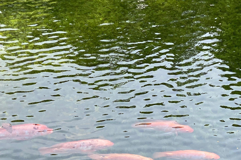 Cartagena: Guided Experience in the Botanical Garden