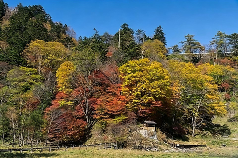 From Tokyo: Nikko World Heritage Sites & Hot Spring Day Trip Meeting point pickup