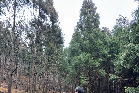 Jeju Geumun-oreum Volcanic Crater Hiking