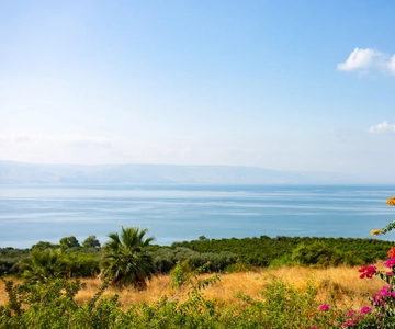 Desde Tel Aviv: Excursión de un día a Galilea