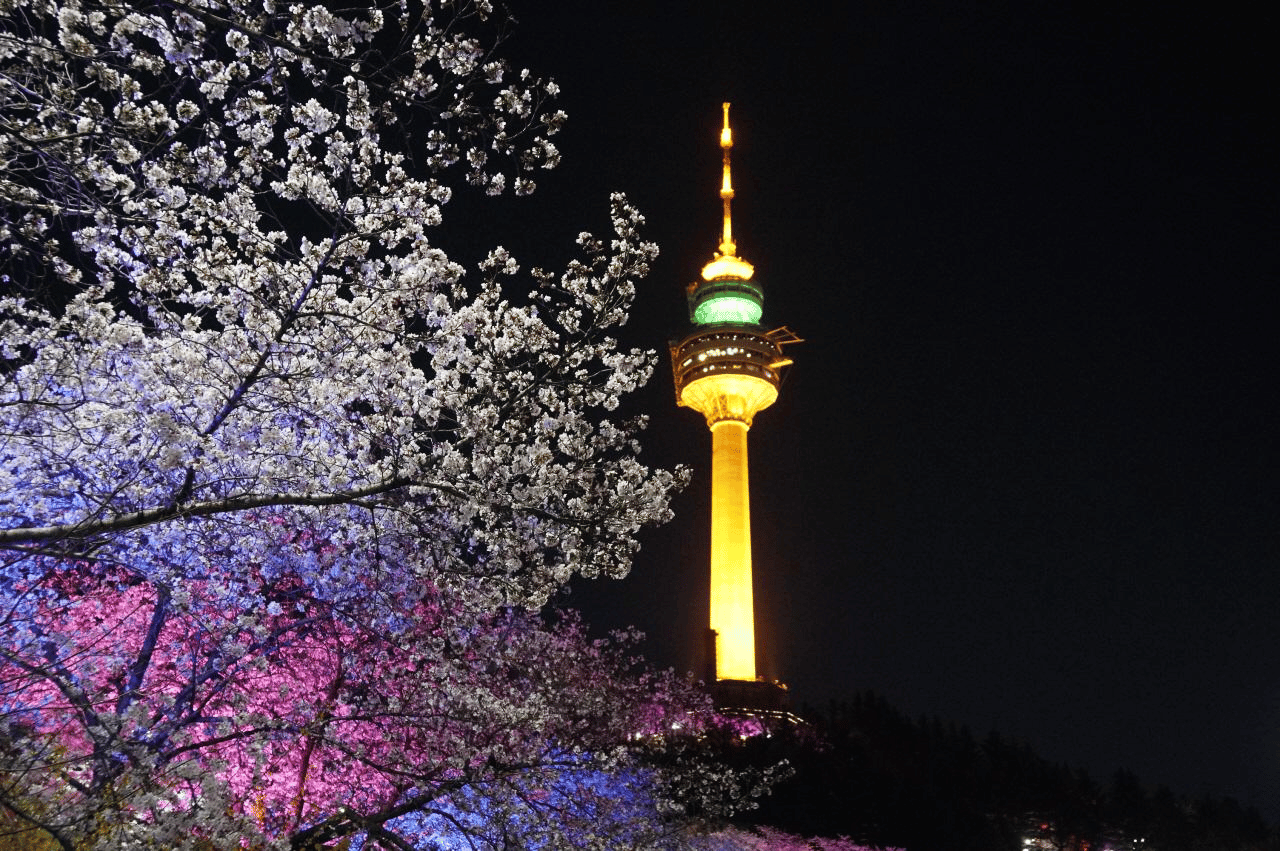 Daegu Tagestour mit 83 Tower Besuch & Palgongsan Seilbahn
