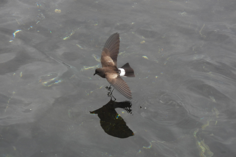 3-Day Galapagos Trip for Traveler Without Much Time