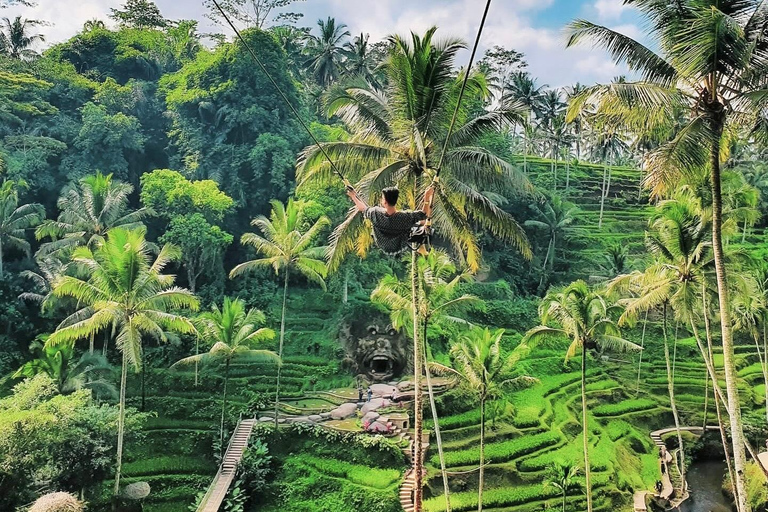 Ubud privato: Cascate, tempio dell&#039;acqua, terrazza di risoTour di un giorno (10-12 ore di tour), escluse le tariffe dei biglietti d&#039;ingresso