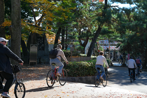 Kyoto: Tour di un giorno in bicicletta