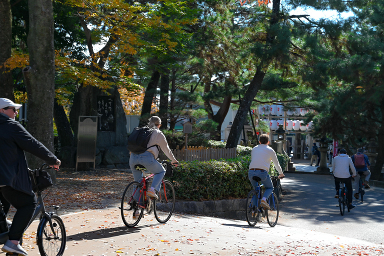 Kyoto : visite d&#039;une jounée à vélo