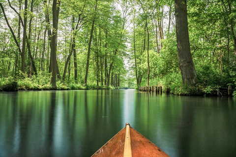 Spreewald: Paddle adventure through the tranquil waterways of the floodplain landscape Spreewald: Paddling adventure through the tranquil waterways of the floodplain landscape