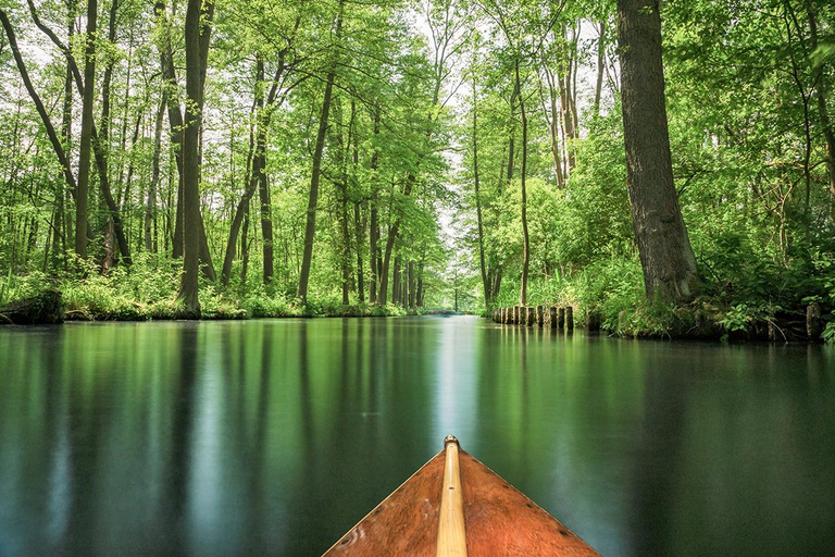 Spreewald: Paddle adventure through the tranquil waterways of the floodplain landscape Spreewald: Paddling adventure through the tranquil waterways of the floodplain landscape