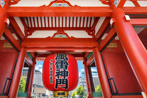 Tokyo Cherry Blossom Day Tour: Asakusa,Chidorigafuchi & Ueno 【Standard】English Guided Sightseeing Tour