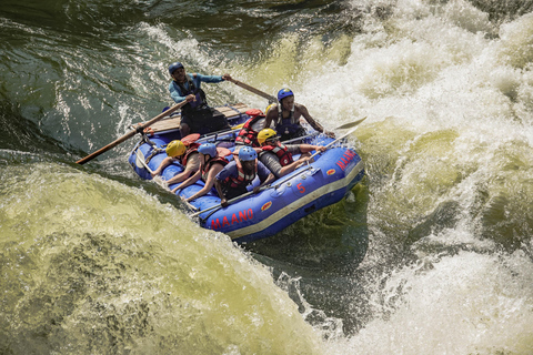 Rafting with a Swim Under Victoria Falls