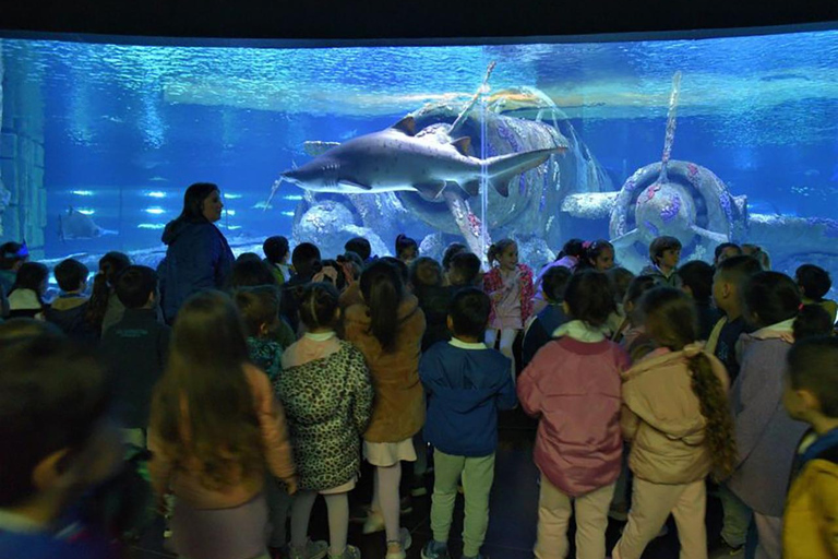 From Antalya, Side, and Alanya: Antalya Aquarium Transfer